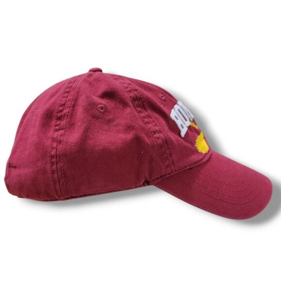 Harry Potter Hat OSFM Embroidered Hogwarts Alumni Hat Embroidery Strapback Hat - Picture 5 of 11